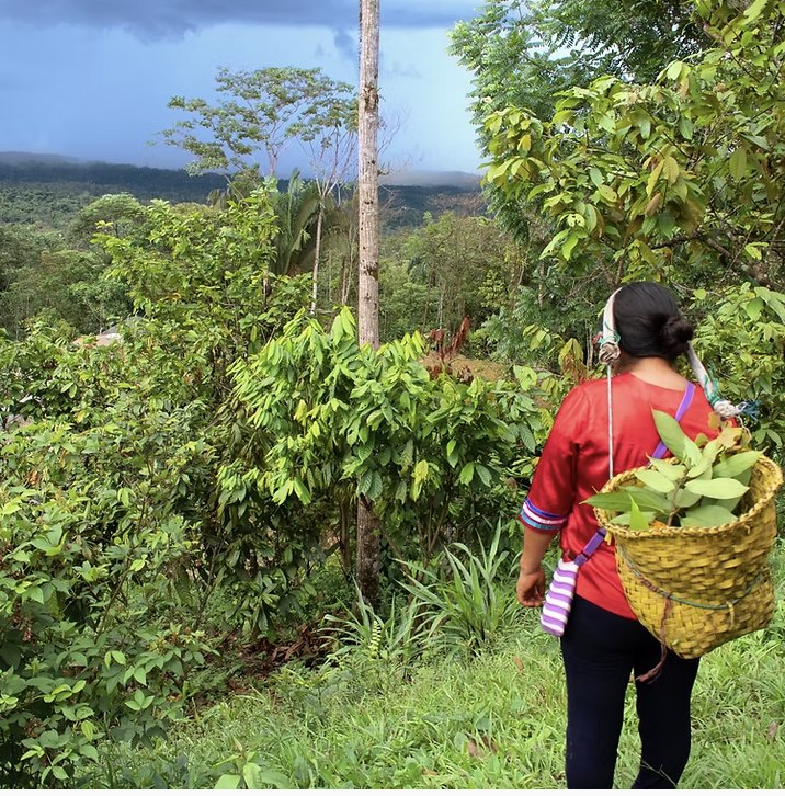 A woman with a woven basket looking out over her chakra forest garden