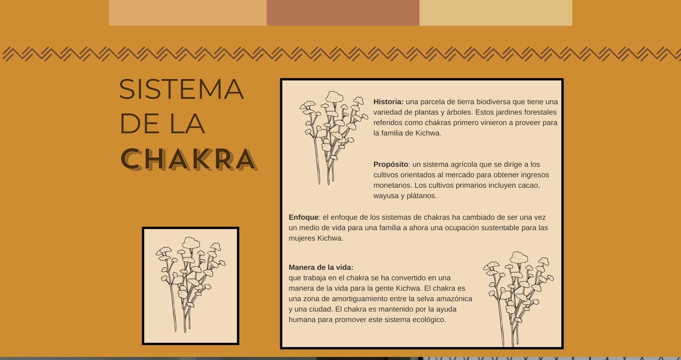 Sistema de la chakra section