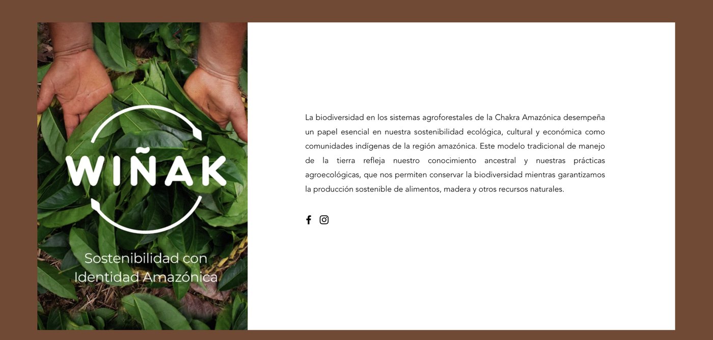 Wiñak logo panel: Sostenibilidad con identidad amazónica